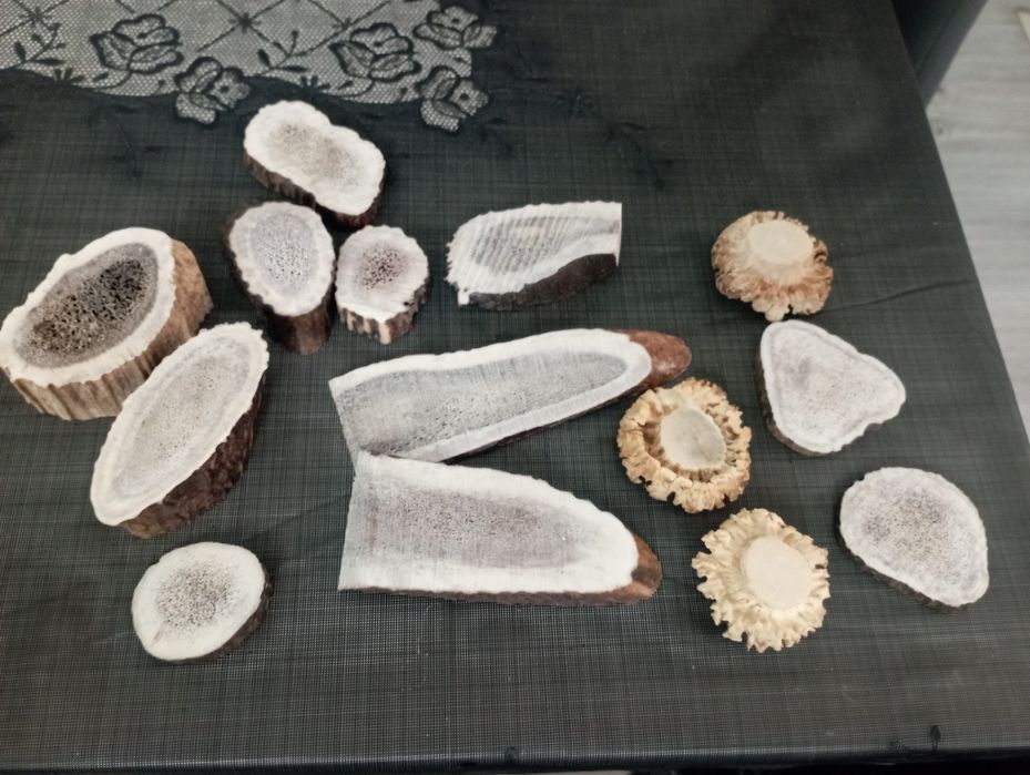 Wyroby z poroza roze i plastry