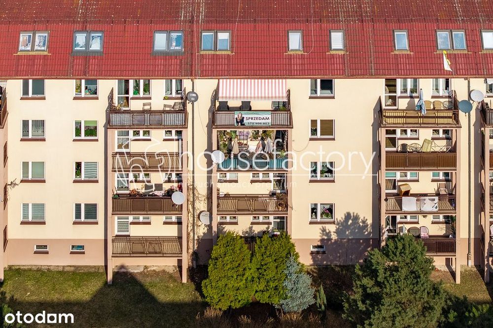3 pokoje na Zielonym Romanowie