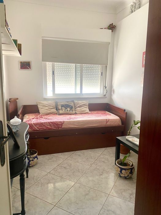 Quarto Benfica - Professora ou estudante