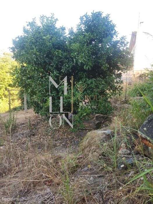 Ruína T3 Com Dois Artigos E 3.100 M² De Terreno — Padronelo, Amarante