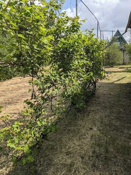 Продажа дачи на РЕШКУТЕ. 28.05.26.