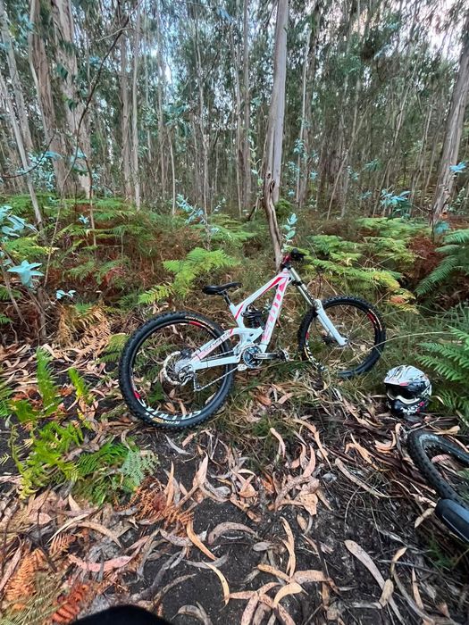 Bicicleta downhill