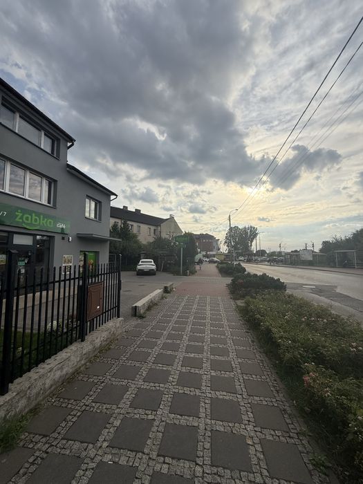 Wynajmę miejsce pod foodtrucka / budkę z lodami - Widok 3
