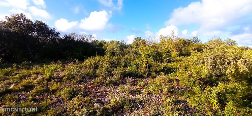 Terreno Rústico  Venda em Conceição e Estoi,Faro