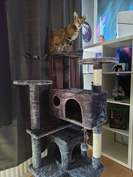 Drapak dla Kota Wielopoziomowy, Stabilny i Komfortowy Ciemnoszary NOWY