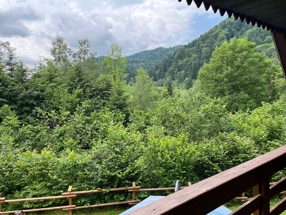 Chatka pod Świerkami