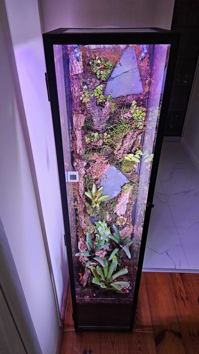 Terrarium tropikalne paludarium bioaktywne