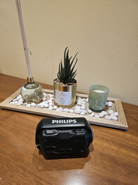 Coluna Bluetooth Philips Waterproof