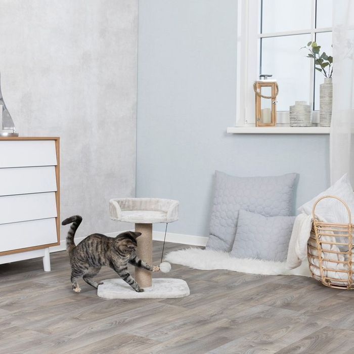 Trixie Mały Drapak Dla Kota Kociąt Mica Jasnoszary 45X35X46Cm