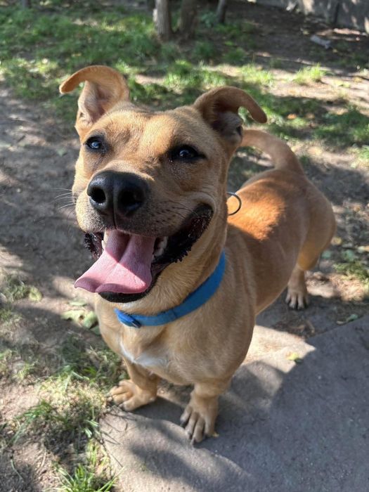 Marzy tylko o jednym – o wolności, miłości i człowieku, który go zrozu