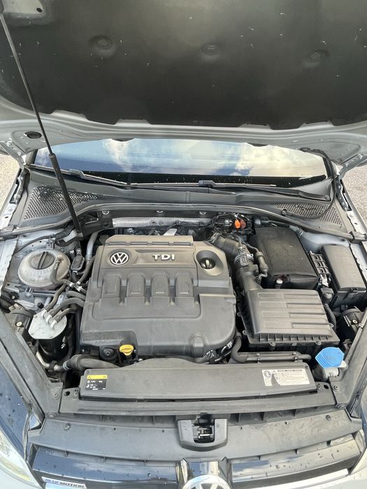 Volkswagen Golf 7 1.6 TDI BlueMotion – 2014 – 110cv