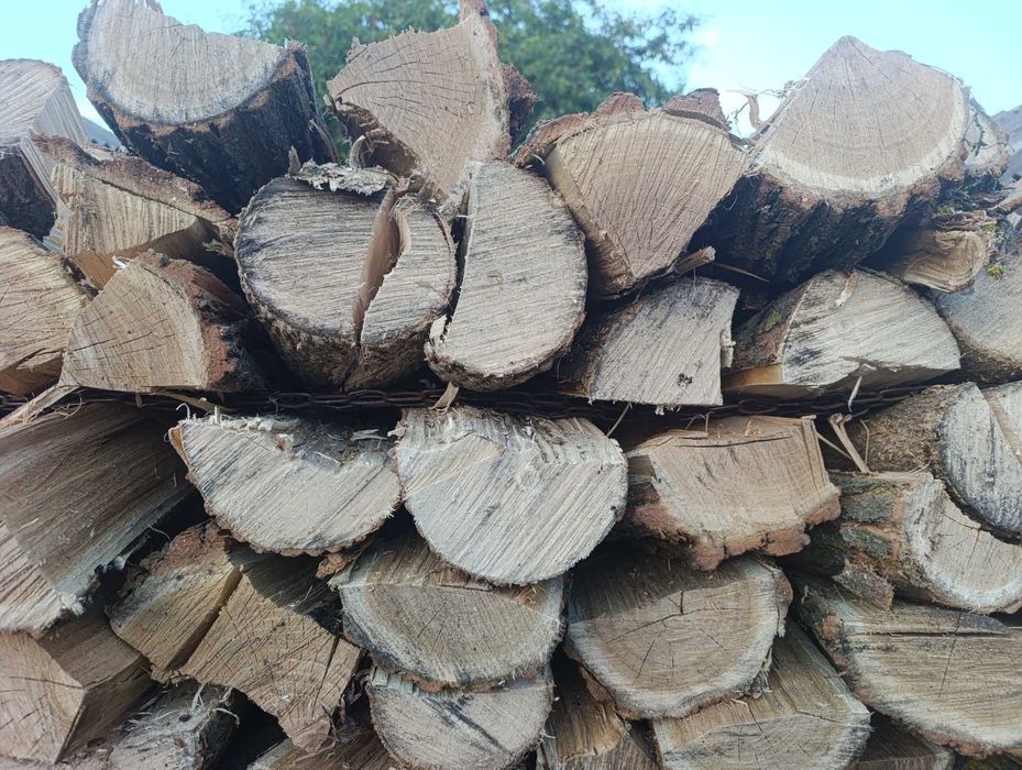 Продам дрова рублені