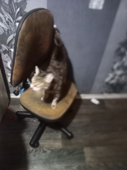 Кресло компьютерное.кремло офисное.крксло для работы