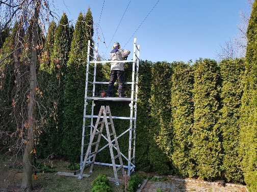 Przycinanie drzew. Żywopłoty. Pielęgnacja ogrodów.Oczyszczanie działek