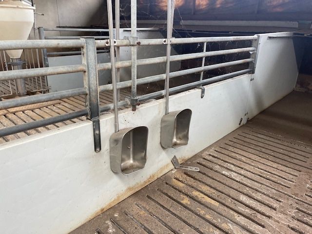 Poidło TUCZNIKOWE - 150 szt - z rurką POIDŁA