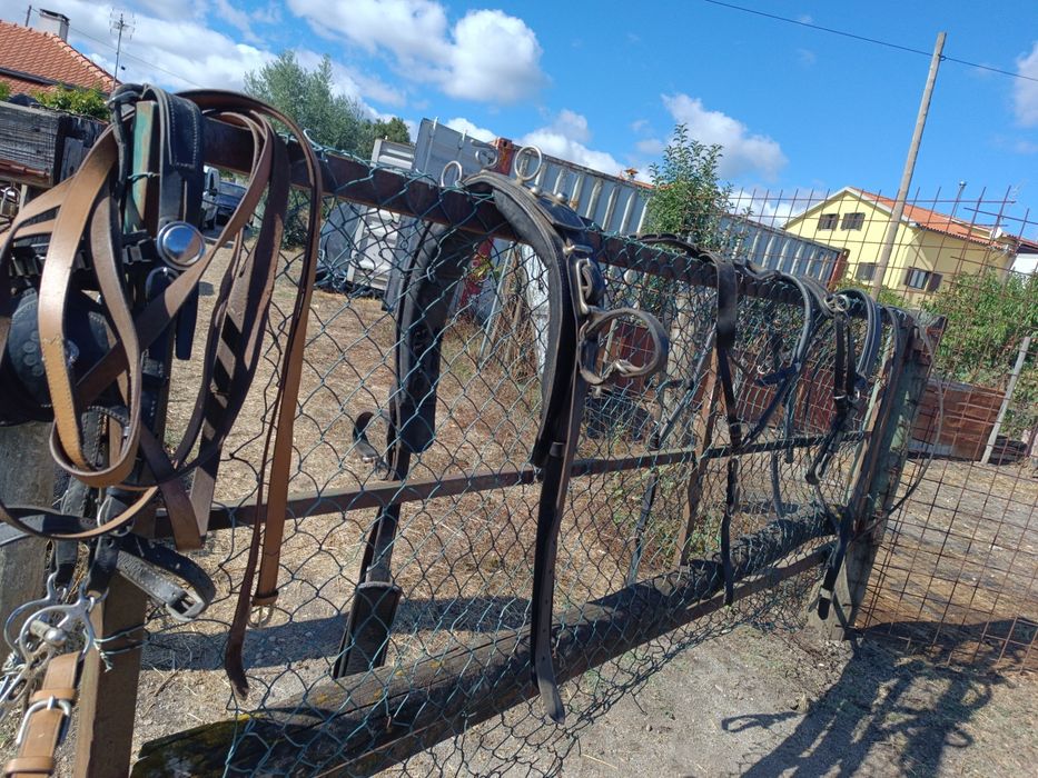 Charrete Milord com arreio singular