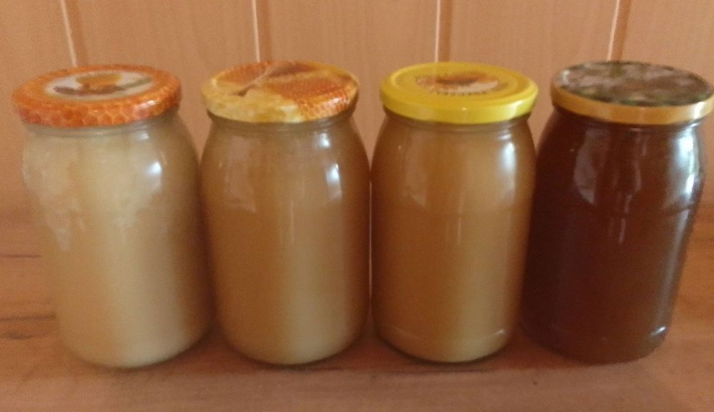 Miód z własnej pasieki