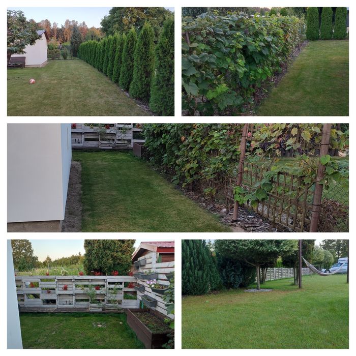 Działka Rekreacyjna Jędrzychów 850 m² - Widok 5