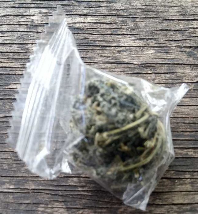 TEA Planet - Gynostemma Jiaogulan zioło nieśmiertelności 60 g.