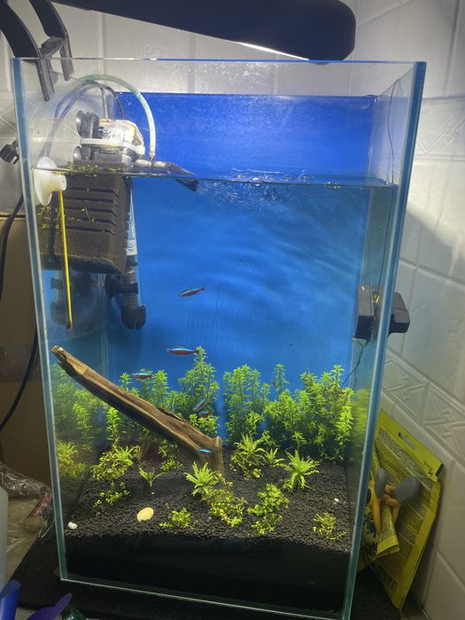 Akwarium optiwhite + lampa led