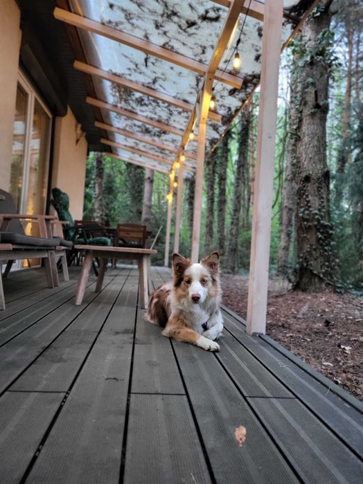 Domek nad rzeką, blisko Warszawy, grill, rowery, Natura 2000!!!