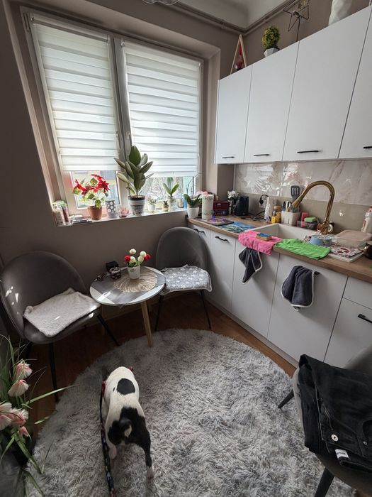 Sprzedam mieszkanie zadbane