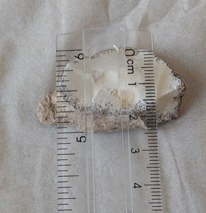 Dendrite Rock, Dendritik rock