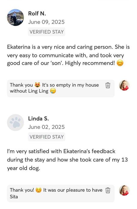 Dog/Cat Sitting / Dog Walking