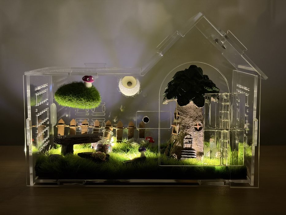 Terrarium dla skakuna pająka