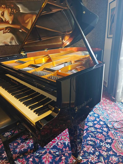 Piano de cauda Bösendorfer 200 rigorosamente impecável