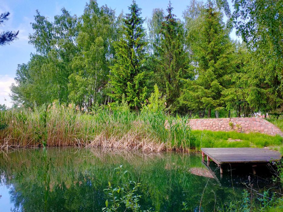 Елітна ділянка 200 соток,Осокорки до 1 шлюзу,Дніпро,Славутич 8 км,без%