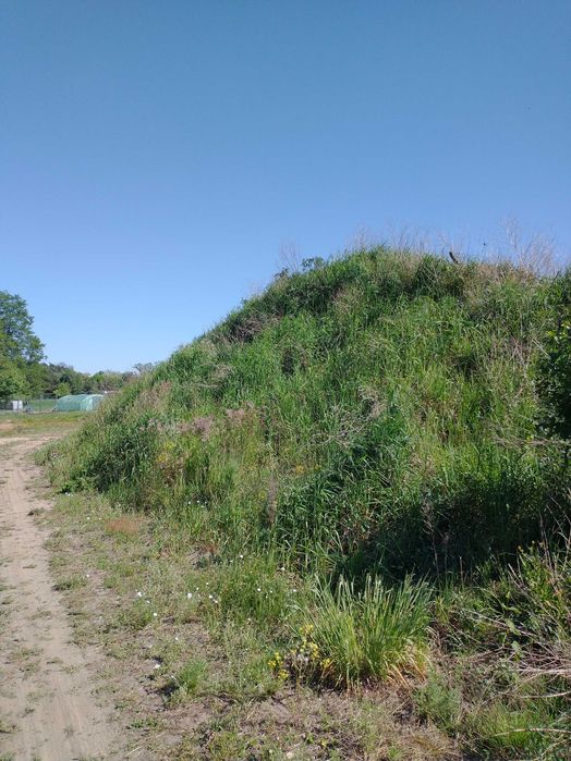 Oddam ziemię za darmo