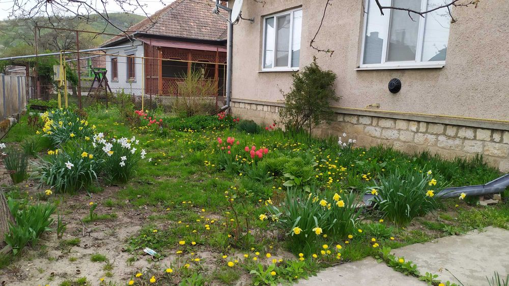 Довгострокова оренда будинку