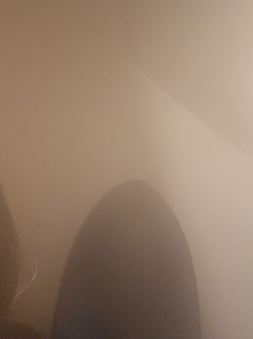 Escova a vapor Silvecrest