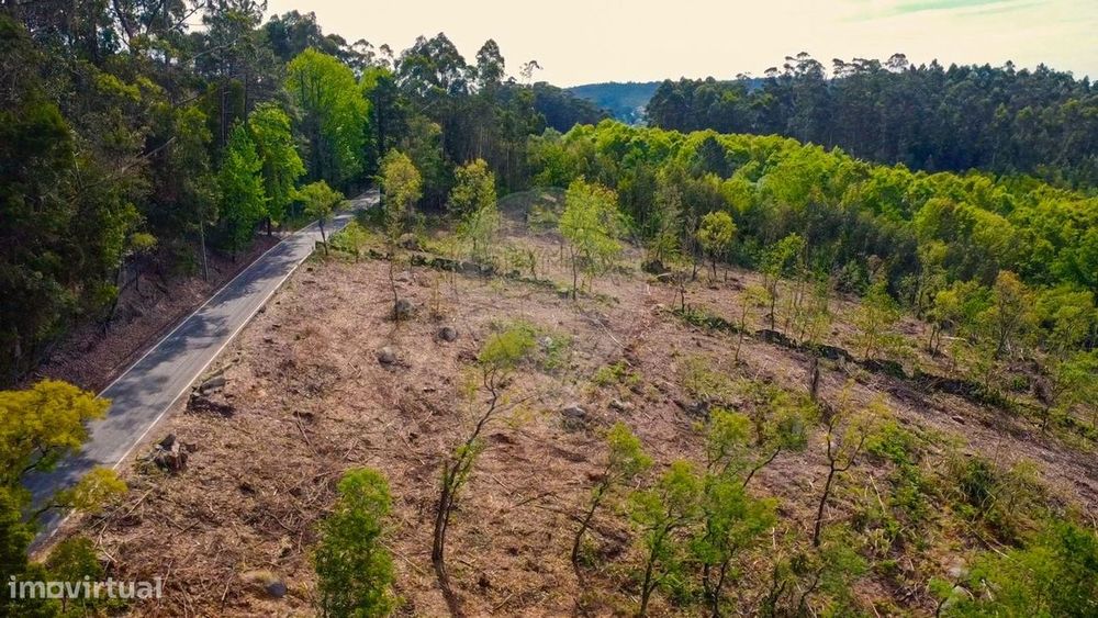 Terreno  para venda