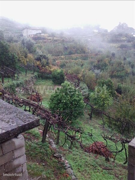 Lote / Baião, Baião (Santa Leocádia) e Mesquinhata