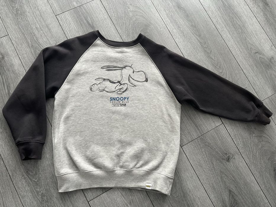 Стильний світшот Zara snoppy для хлопчика
