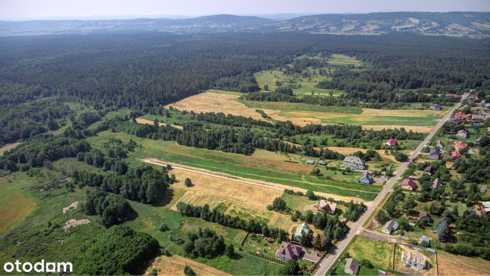Klonów - piękne działki widokowe