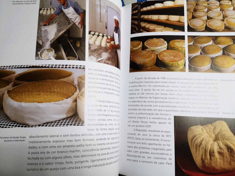 Queijos portugueses e olhar gastronómico sobre famosos queijos europeu