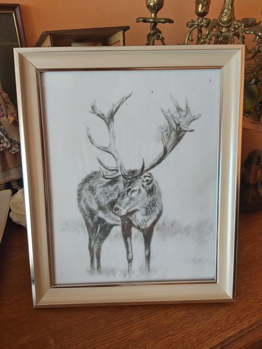 Byk. Grafika myśliwska łowiecka. A4