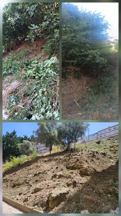 Limpeza de terreno e jardim