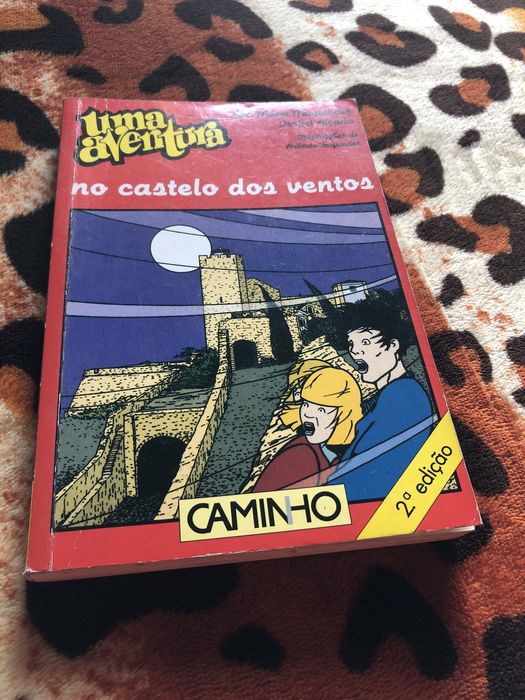 Livro de Uma Aventura no Castelo dos Ventos de Ana Maria Magalhaes