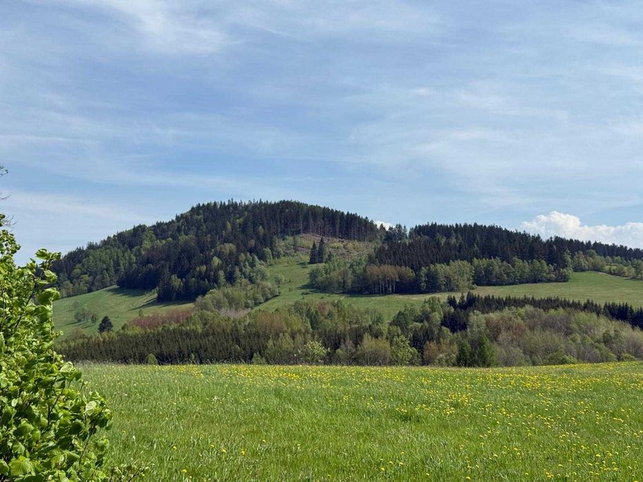 Działka w Górach Sowich - Świerki