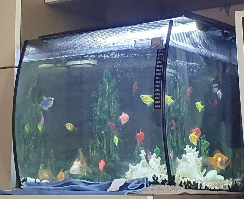 Срочно Продам аквариум 57л