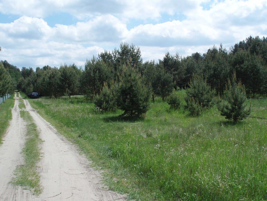 Działka budowlana na mazurach