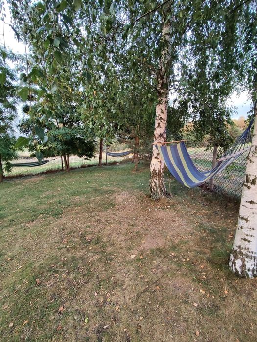 Domki pod topolami, wynajem.