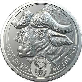 Moeda / Onça Prata - África do Sul 5 Rands Búfalo 2021 BNC