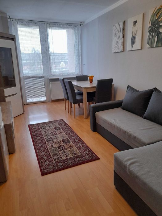 Wynajmę komfortowe mieszkanie. Tychy osiedle Ogrodnik.