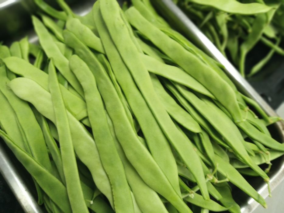 Feijão verde do dia