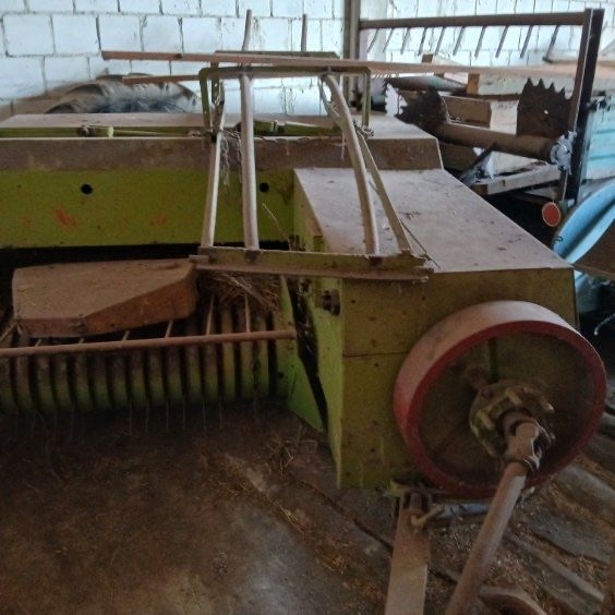 Prassa kostkujaca Class